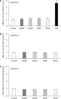 Signaling pathways activated by sea bass gonadotropin-inhibitory hormone peptides in COS-7 cells transfected with their cognate receptor